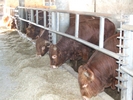 Azienda Agricola Casiraghi